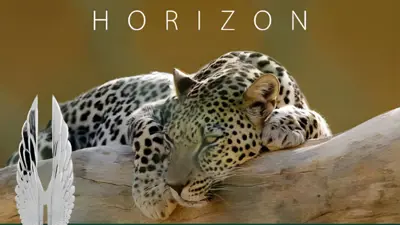بوستر الفيلم السعودي "هورايزن" 