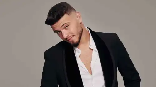 الفنان الشامي