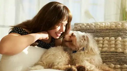 حلم التحدث مع حيوان أليف.. الحذر والتعبير عن الذات