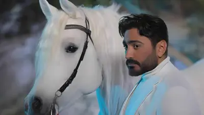 تامر حسني