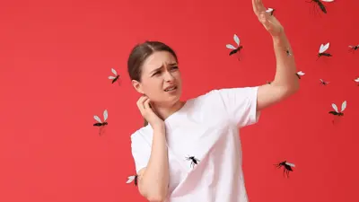 ألوان تجذب البعوض