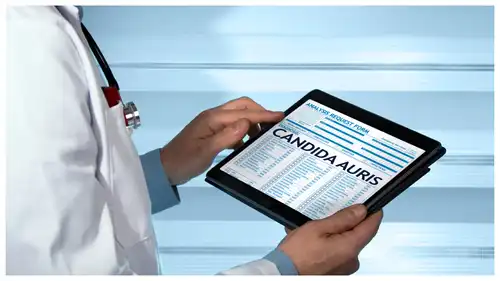 عدوى Candida auris تنتشر في 28 ولاية أمريكية.. مرض مقاوم للأدوية