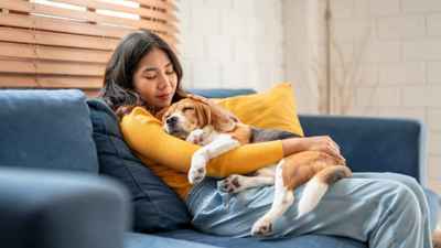 متى يجب زيارة الطبيب البيطري؟ إشارات لا تتجاهليها