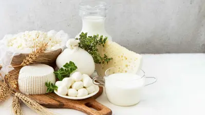 جبن