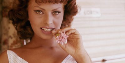 في أوّل ظهور سينمائي لها بعد 10 أعوام.. صوفيا لورين "مُقعدة"!