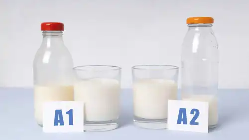 بعد انتشاره في الأسواق.. تعرف على كل ما يتعلق بحليب A2