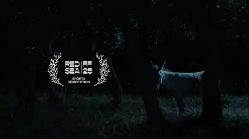 الأفلام الدولية القصيرة 2025 في مهرجان البحر الأحمر
