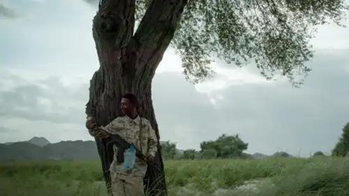 يلا نلعب عسكرة