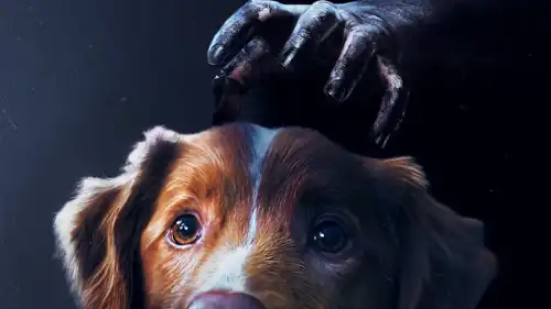 بوستر  فيلم Good Boy 