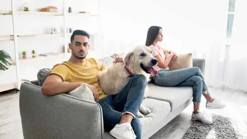 تنظيم رعاية الحيوانات الأليفة بعد انفصال الشريكين