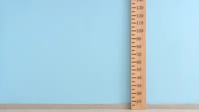  ruler