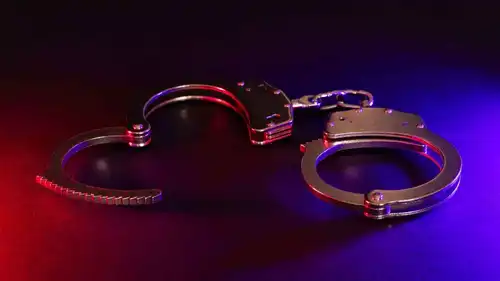 الأرملة السوداء تعود إلى قبضة العدالة بعد عام من الفرار