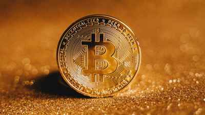 أمل ضائع بين أكياس القمامة.. كيف اختفت ملايين الدولارات في لحظة؟