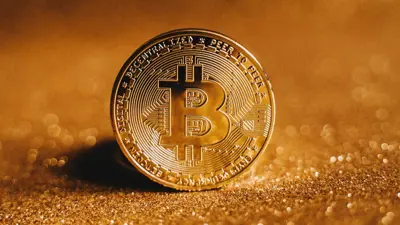 أمل ضائع بين أكياس القمامة.. كيف اختفت ملايين الدولارات في لحظة؟