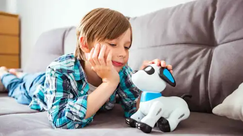 حيوانات رقمية