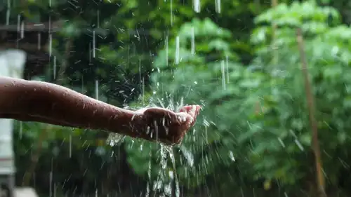 الحلم بجمع ماء المطر..السعي والبدايات