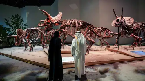 متحف التاريخ الطبيعي في أبو ظبي