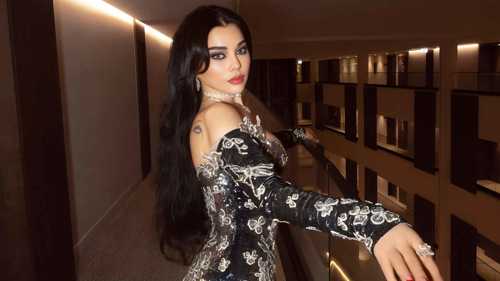 هيفاء وهبي تلجأ للقضاء ضد طبيب مصري