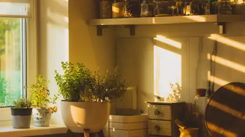 التخلص من رائحة المطبخ الكريهة