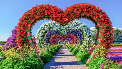  Dubai Miracle Garden