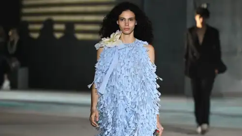 Dior Cruise 2027