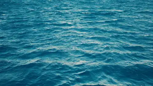 محيط