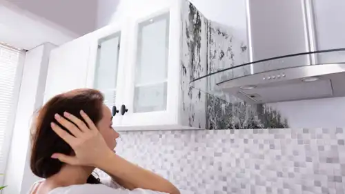 طرق فحص العفن في المنزل وأهم علامات وجوده
