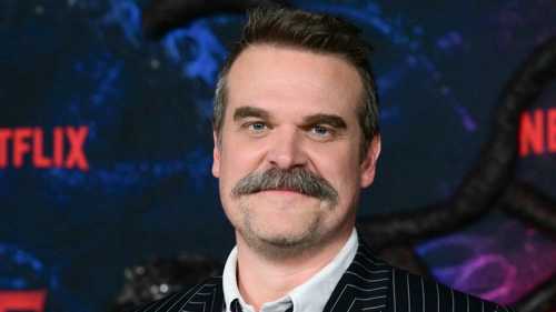 نجم Stranger Things ديفيد هاربر يكشف تفاصيل علاجه النفسي